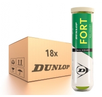 Dunlop Fort All Courts karton.jpg