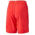 wilson b team_short_5_infrared I.jpg